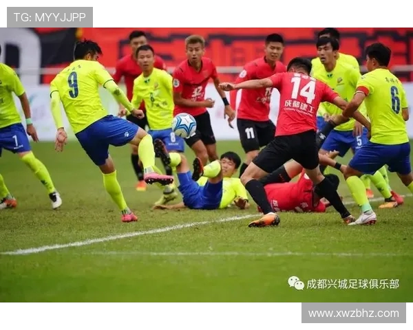 职业足球俱乐部青训营淘汰率的思考